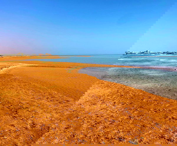 taylor.creeden taylor.creeden archive image