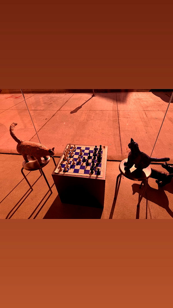 sydney_melman instagram image archive image