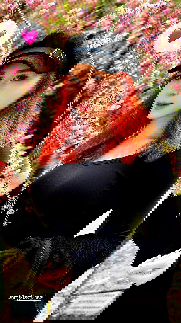 swfx_real swfx_real archive image