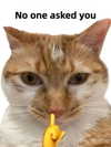 milkibunshehe Altpins Profile Picture