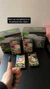 alice_hez Altpins Profile Picture