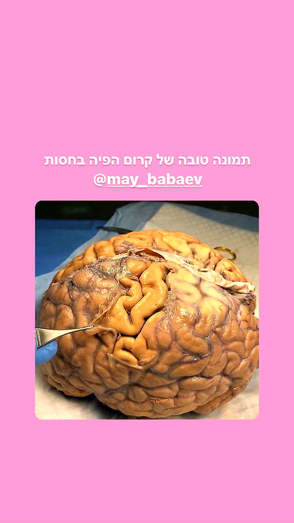 kesemgreenyer instagram image archive image