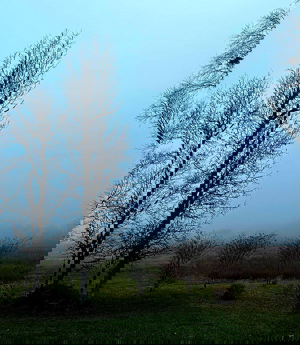 taylor.creeden taylor.creeden archive image