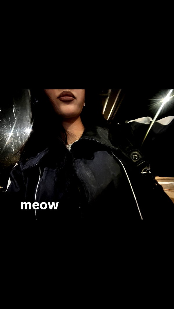 alexsndranowak instagram image archive image