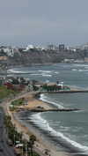solzarubin_ Altpins Profile Picture