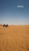 seline_paz Altpins Profile Picture