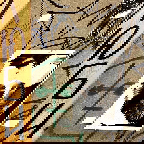 annfigmax image ~ Altpins