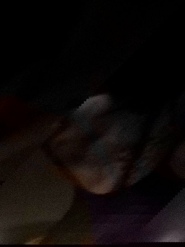 zommmbri zommmbri archive image