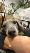 maya.keyy Altpins Profile Picture