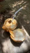 maori_cohen Altpins Profile Picture