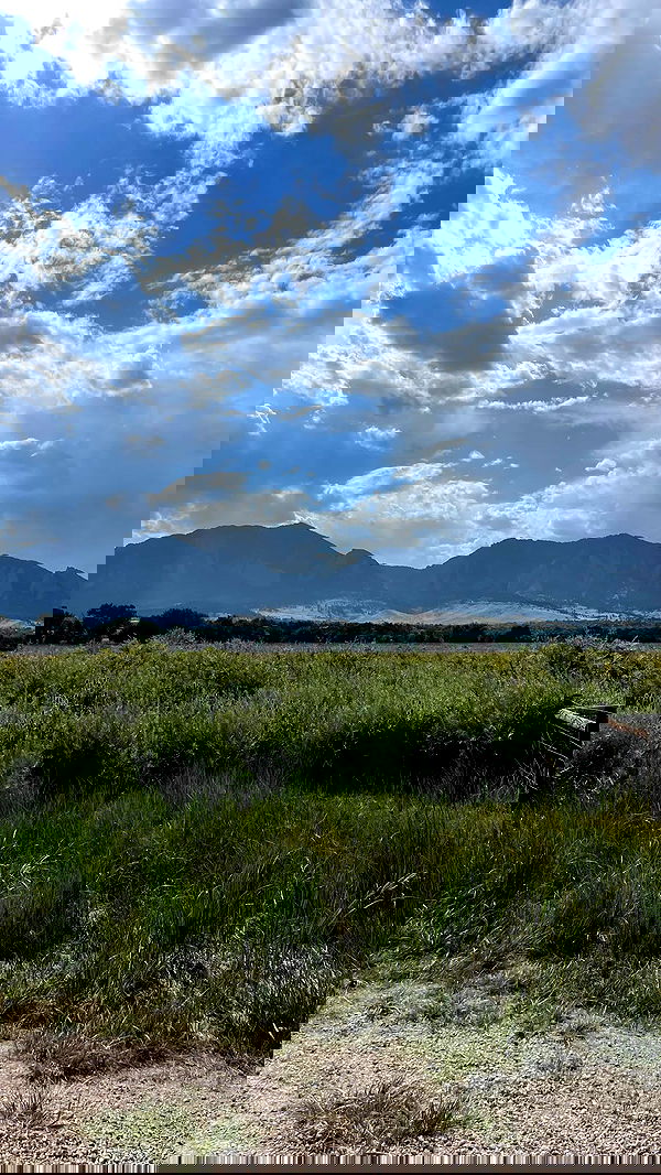 thelizzyporter thelizzyporter archive image