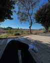 mishel_d_ Altpins Profile Picture