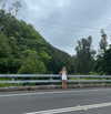 daisy_r_19 Altpins Profile Picture