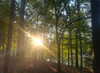 elizabethcampbelljones Altpins Profile Picture