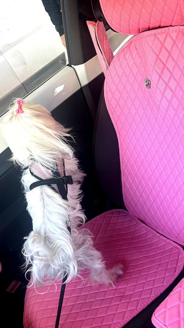 _l1loo instagram image archive image