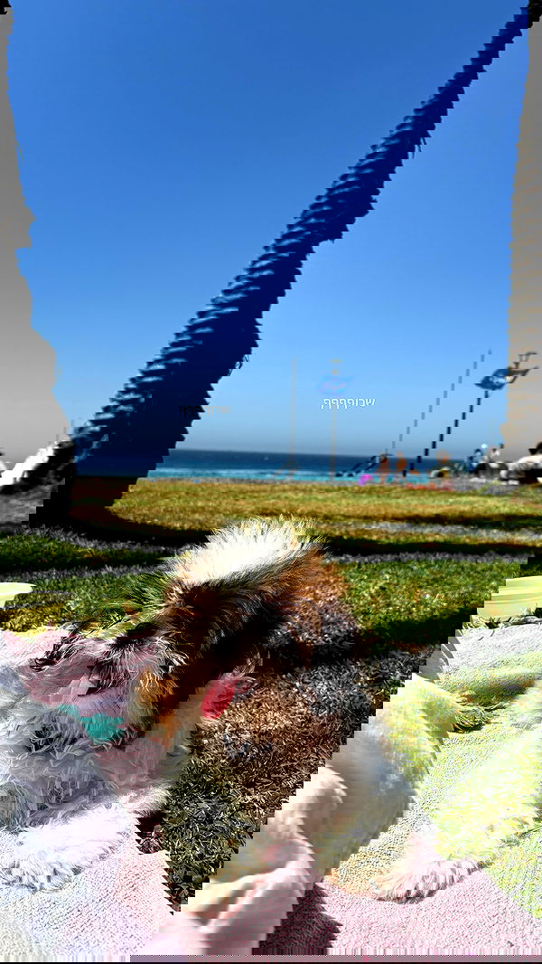 noammalka___ noammalka___ archive image