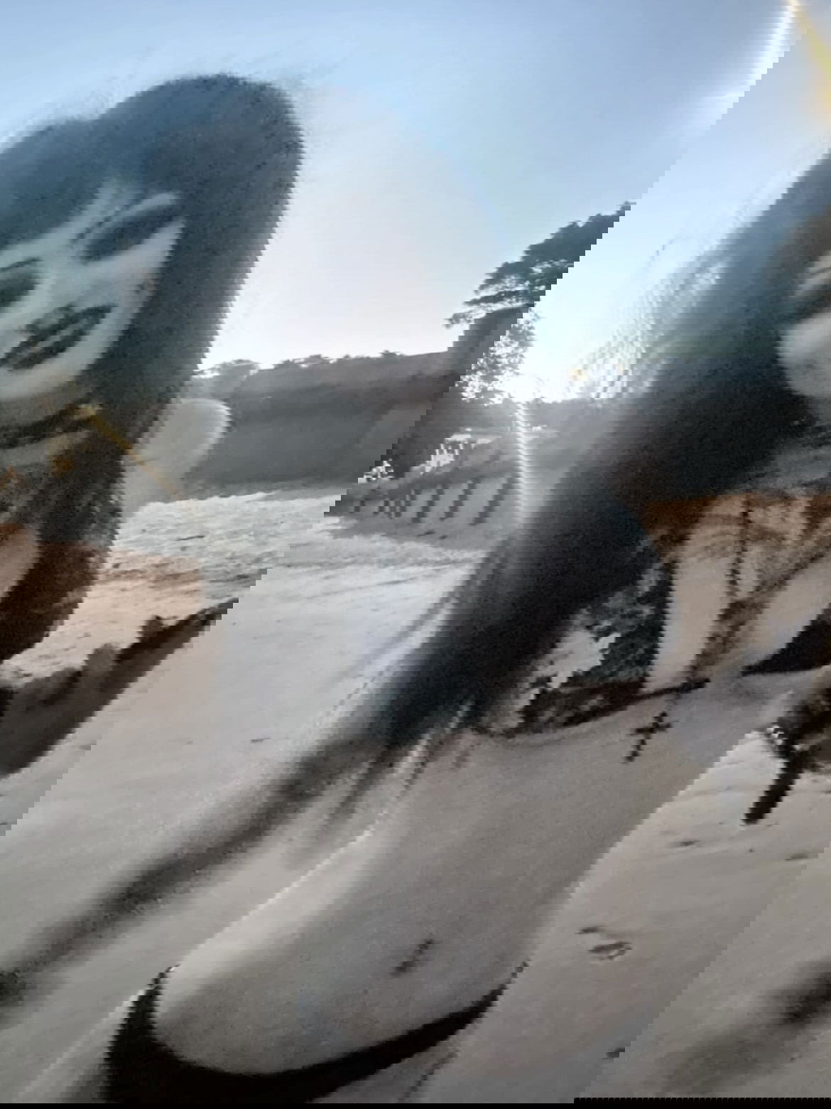 lanielifeless instagram image archive image