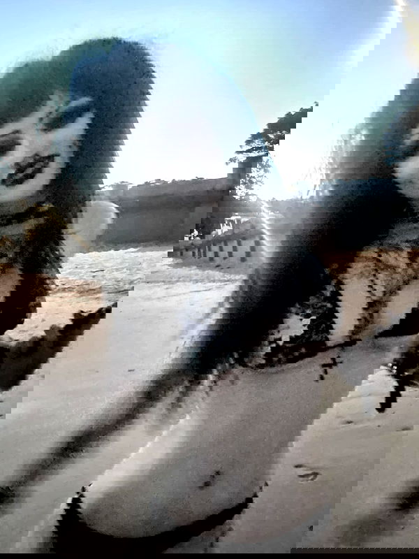 lanielifeless image ~ Altpins