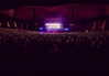 avrillavigne Altpins Profile Picture