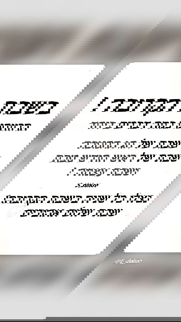 _lil_noa_ _lil_noa_ archive image