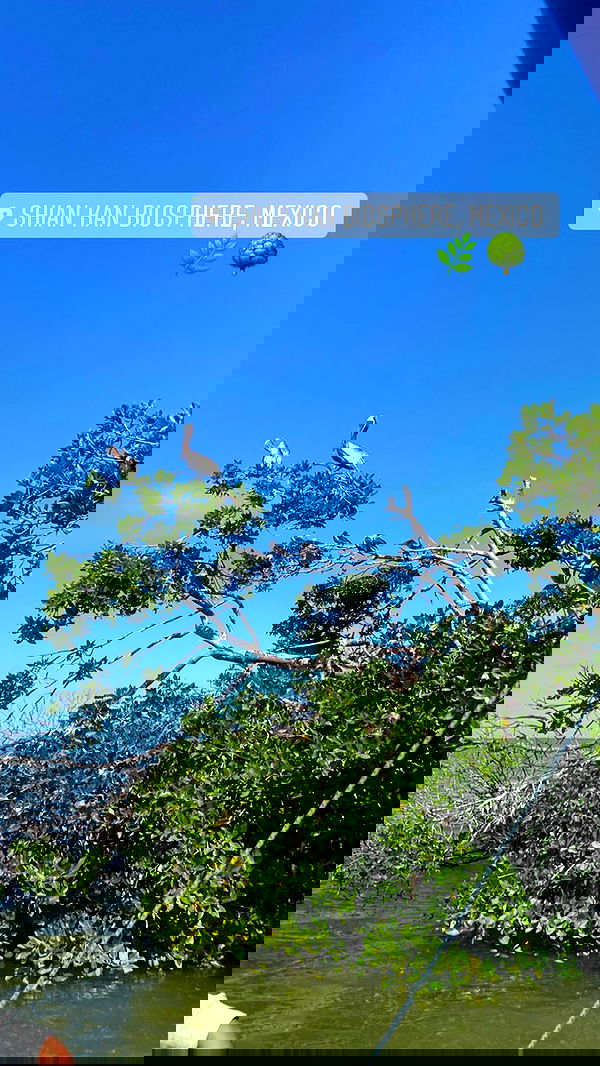 manjolamuriqi manjolamuriqi archive image