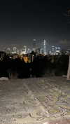 shai_landau_ Altpins Profile Picture