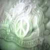 lolontlia Altpins Profile Picture