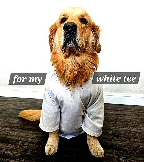 muze instagram image archive image