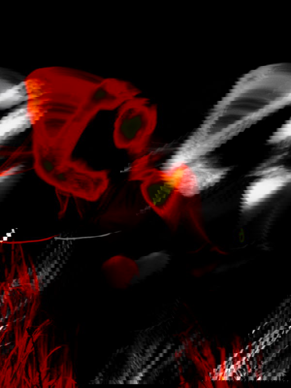 ting851204 ting851204 archive image