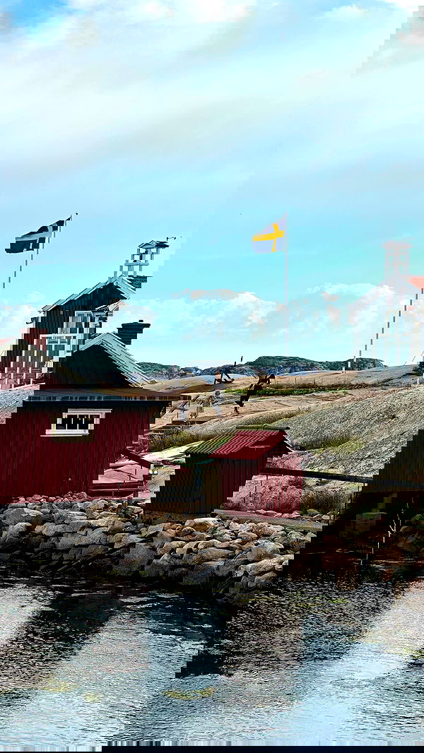 taylor.creeden taylor.creeden archive image