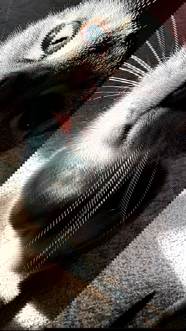 zommmbri zommmbri archive image