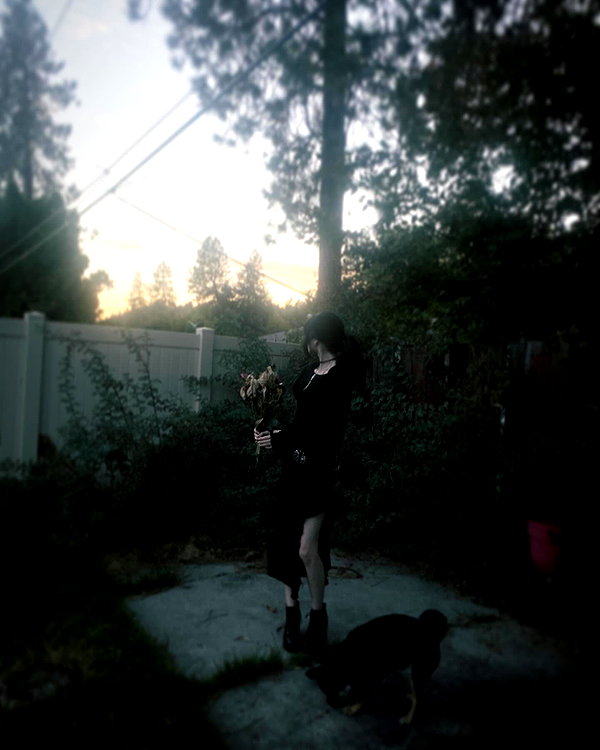 reanidays instagram image archive image