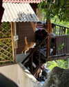 darkstar_mia Altpins Profile Picture