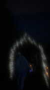 lyra.car Altpins Profile Picture