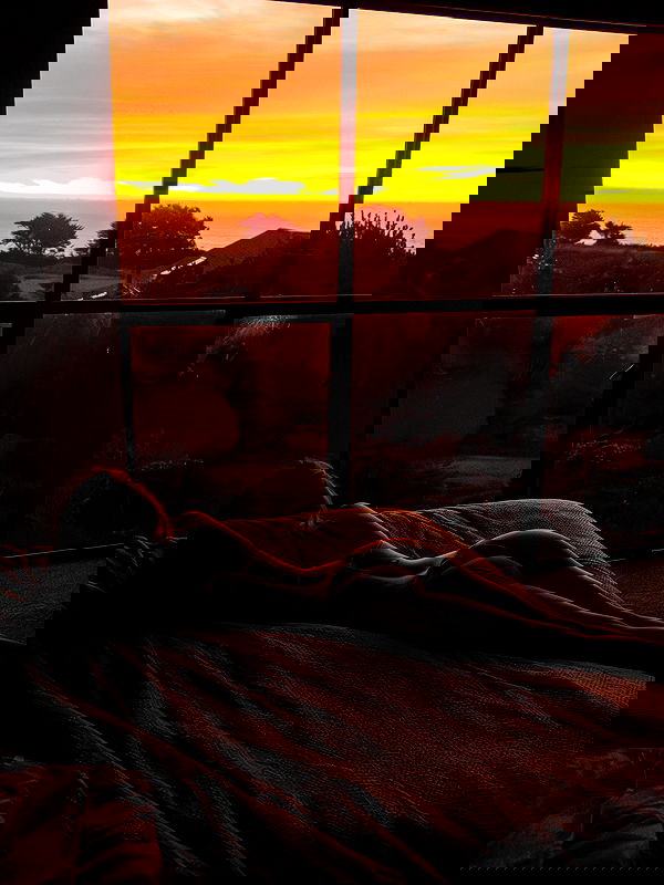 carolinezalog carolinezalog archive image