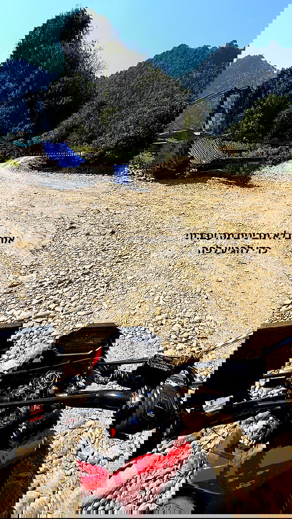 yam_adler yam_adler archive image