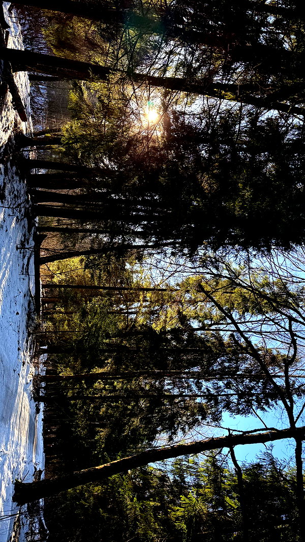ekanve instagram image archive image
