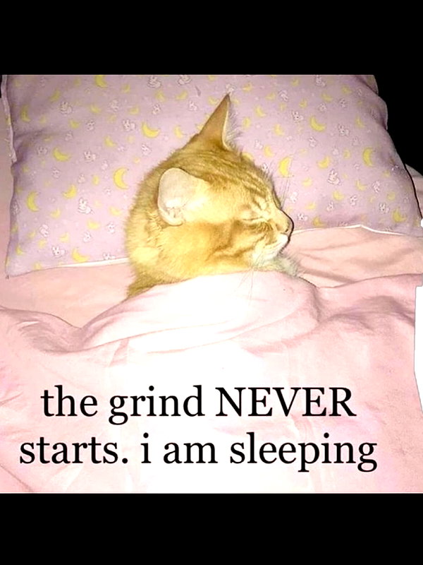 gmuhvo instagram image archive image