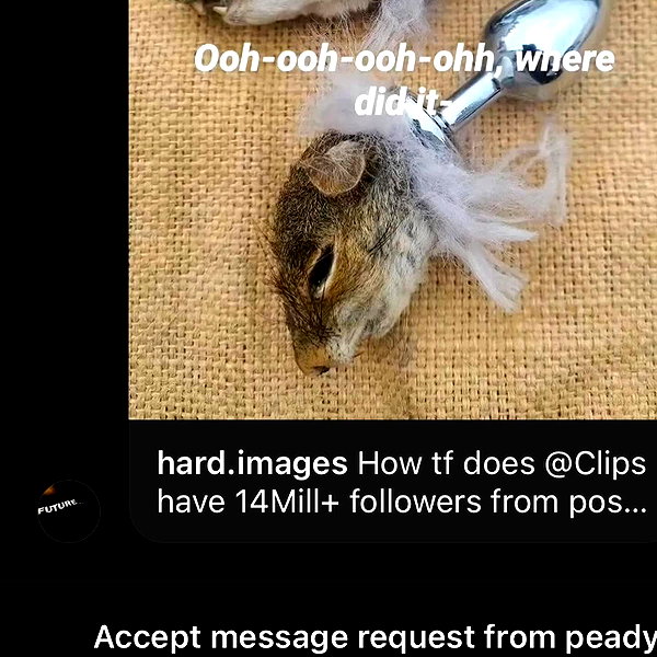 georgialeetwinn instagram image archive image