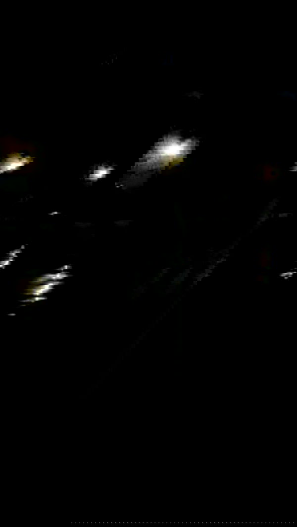 zommmbri zommmbri archive image