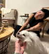 romy_ayalla_lavi Altpins Profile Picture