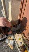 orman.mariee Altpins Profile Picture