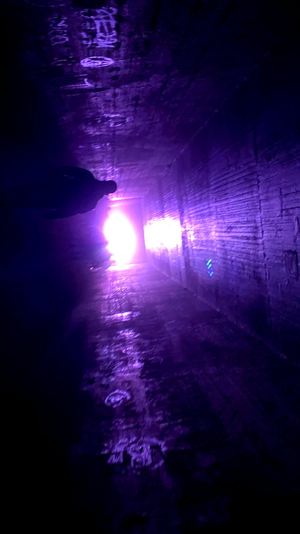 emleecordeiro instagram image archive image