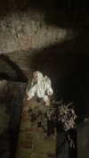 s111y_ccc0nt3 Altpins Profile Picture