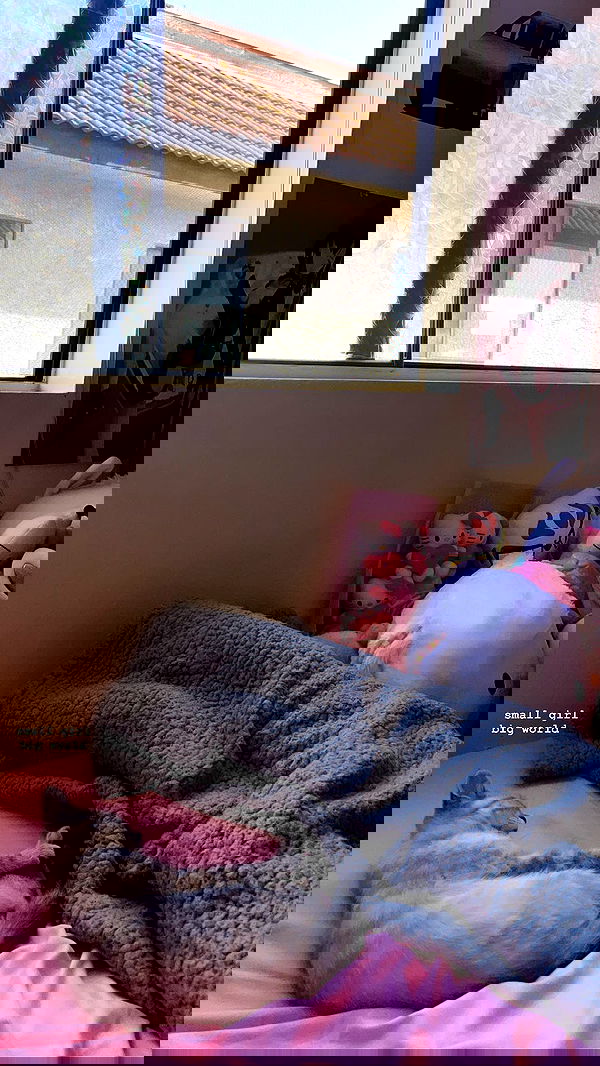 suikomuu suikomuu archive image