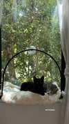 gabbyepstein Altpins Profile Picture