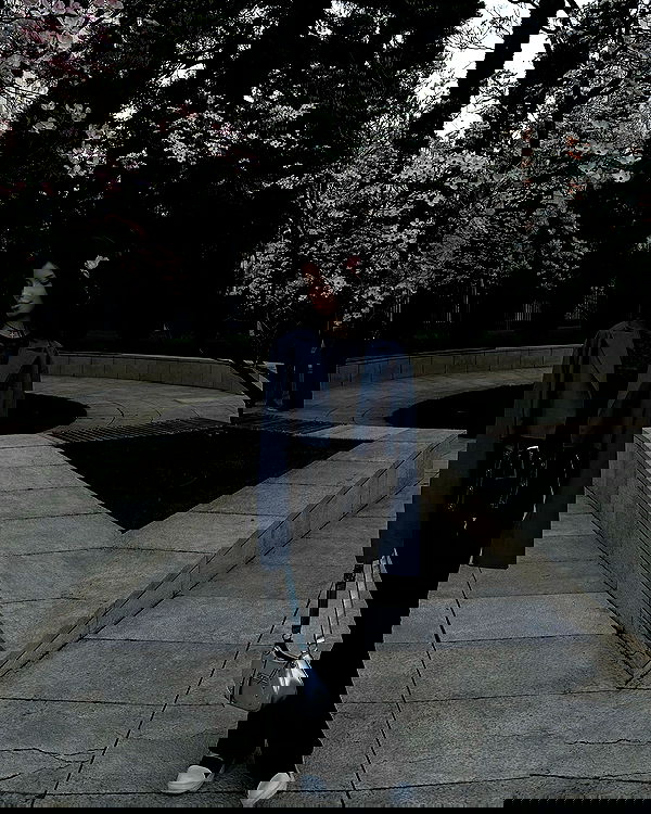 txxwwq txxwwq archive image