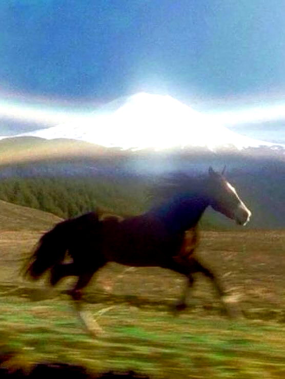 milkibunshehe instagram image archive image