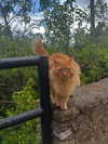 _broock_ Altpins Profile Picture