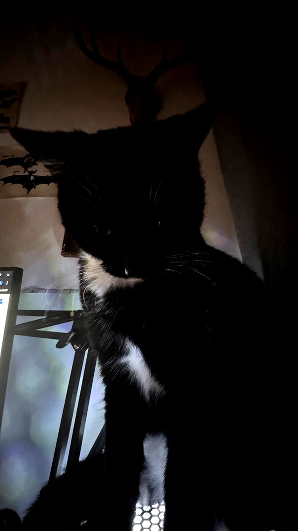 vampiryska instagram image archive image
